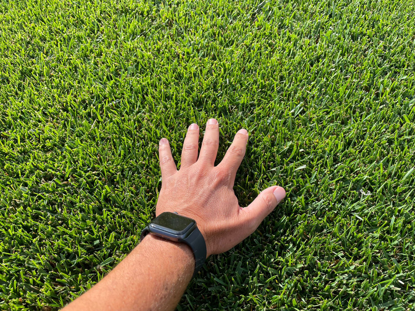 GAZON EN ROULEAU BORDEAUX 33 GIRONDE IDGREEN GAZON EN ROULEAU LYON 69 IDGREEN