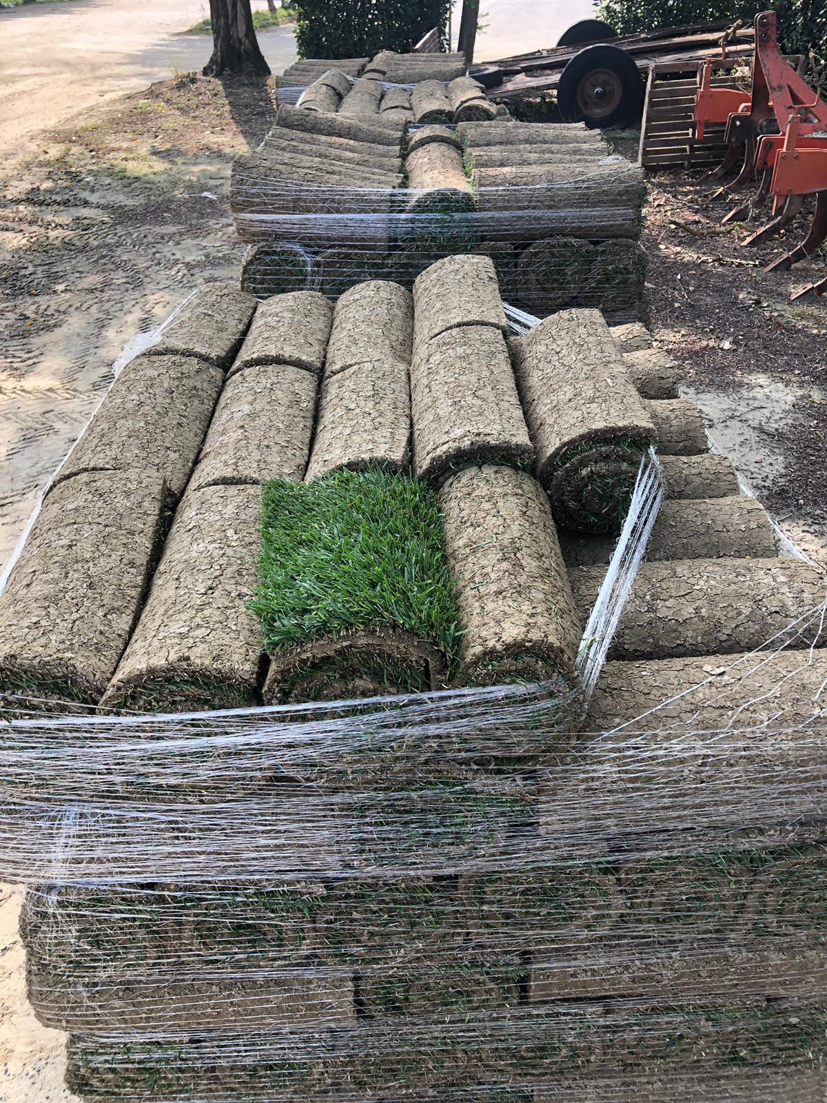 GAZON EN ROULEAU SUR PALETTE IDGREEN