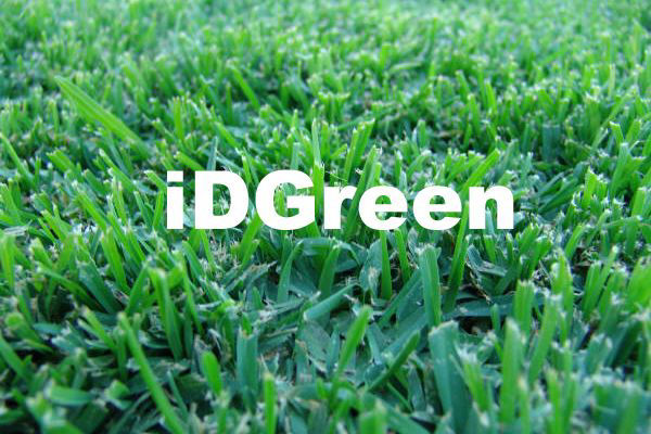 GAZON SECHERESSE IDGREEN ARROSAGE REDUIT